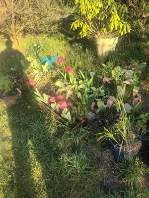 Jardin de l'établissement Happy days