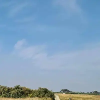 Le Terrier sur la dune de Tronoën