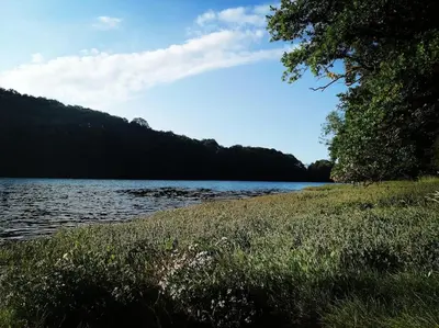 Paysage naturel près de la maison de vacances