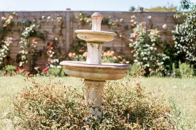 Jardin de l'établissement Havre de Paix à Pors Carn à 7 mins à pied de la plage
