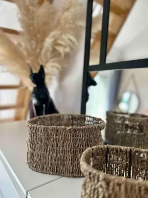Animal ou animaux domestique(s) séjournant avec des clients dans l'établissement Ile tudy Bord de plage et farniente en terrasse Appt classé 3 étoiles