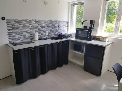 Cuisine ou kitchenette dans l'établissement Charmant T2 flambant neuf pour 3 pers