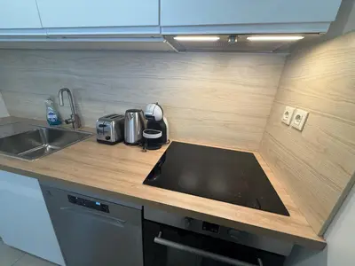 Cuisine ou kitchenette dans l'établissement Appartement deux chambres Brest centre proche Tram