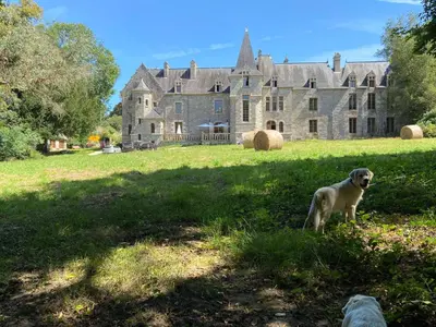 Animal ou animaux domestique(s) séjournant avec des clients dans l'établissement Garden Cottage Kervolongar