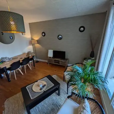Grand Appartement lumineux