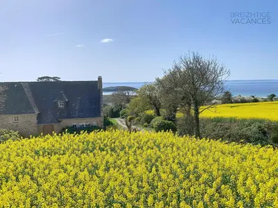 Paysage naturel près de la maison de vacances