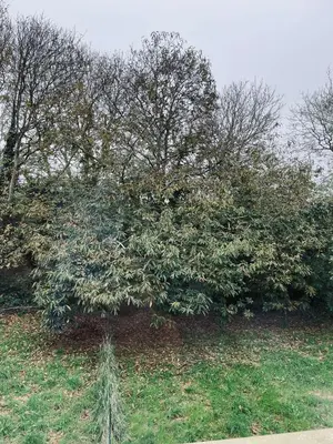 Jardin de l'établissement Capstay Plouzané