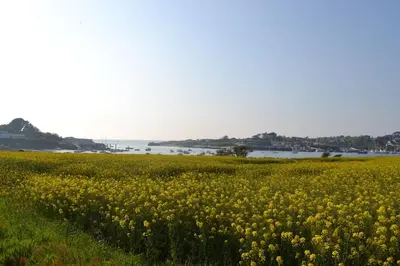 Paysage naturel près de la maison de vacances