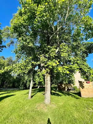 Jardin de l'établissement Le Village du Moulin