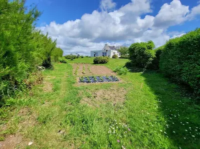 Jardin de l'établissement Le repère de Saint Mathieu