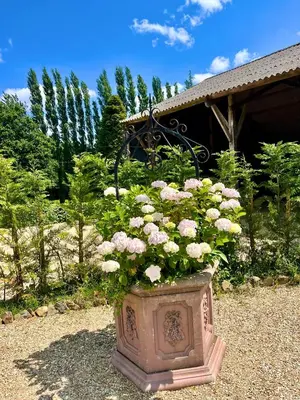 Jardin de l'établissement Gite Les Petits Dragons