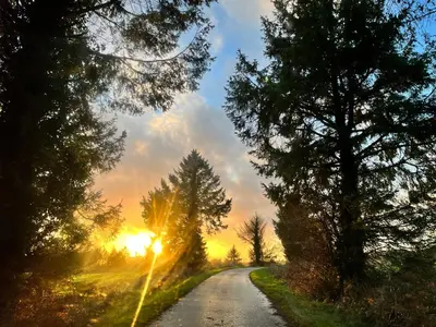 Lever ou coucher de soleil vu de la maison de vacances ou à proximité
