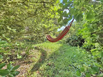 Jardin de l'établissement 727-Superbe vue mer, grand confort, les pieds dan