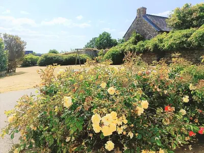 Jardin de l'établissement Grande maison familiale au cœur du Finistère