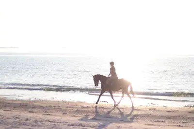 Équitation au sein de la maison de vacances ou à proximité