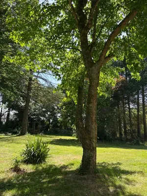 Jardin de l'établissement Rêve de Clarté