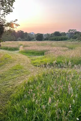 Paysage naturel près de le B&B/chambre d'hôtes