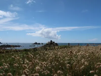 Paysage naturel près de la maison de vacances
