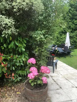 Jardin de l'établissement Kerespars