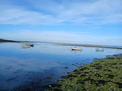 Paysage naturel près de le séjour chez l'habitant