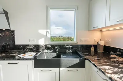 Cuisine ou kitchenette dans l'établissement Villa DUXCAAR