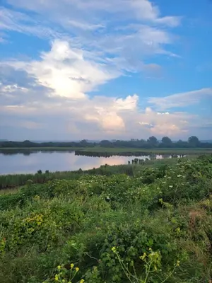 Paysage naturel près de la maison de vacances