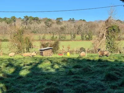 Jardin de l'établissement Écrin de la baie