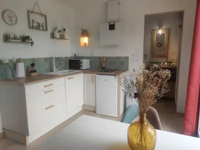 Cuisine ou kitchenette dans l'établissement Le ty cocon