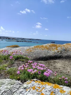 Paysage naturel près de la maison de vacances
