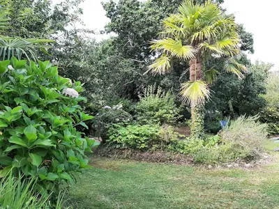 Jardin de l'établissement Adorable Chaumière traditionnelle plage à pied