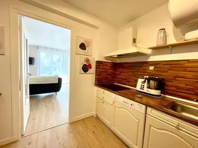 Cuisine ou kitchenette dans l'établissement Joli studio Rockroum
