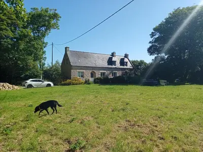 Animal ou animaux domestique(s) séjournant avec des clients dans l'établissement Maison du manoir