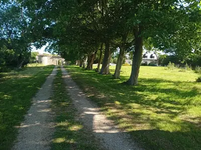 Jardin de l'établissement Maison du manoir