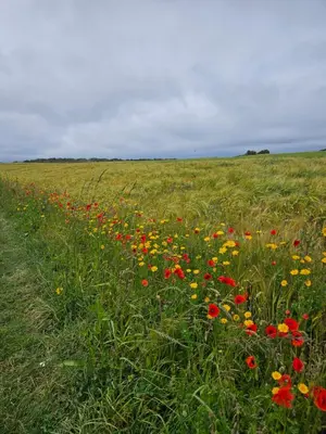 Paysage naturel près de la maison de vacances