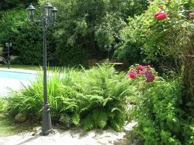 Jardin de l'établissement Family Holiday Home with Pool