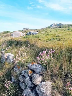 Paysage naturel près de la maison de vacances