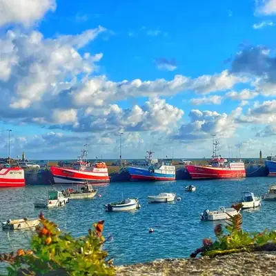 Le Vieux Port - Vue mer