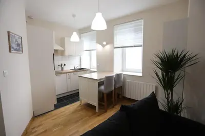 Cuisine ou kitchenette dans l'établissement Joli appartement au centre de Brest