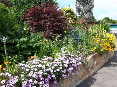 Jardin de l'établissement Bretagne FeWo Hortensia für 2 Personen, no Kids