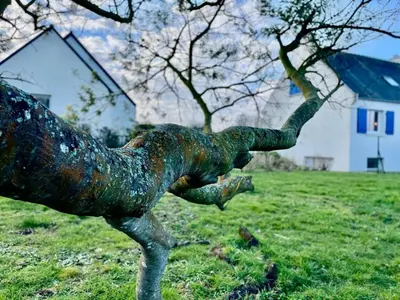 Jardin de l'établissement Maison de famille Henvic
