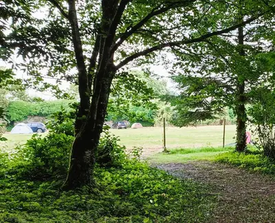 Jardin de l'établissement Camping Vieilles Charrues Petit-déjeuner navette et priscine inclus dans le prix proche Carhaix