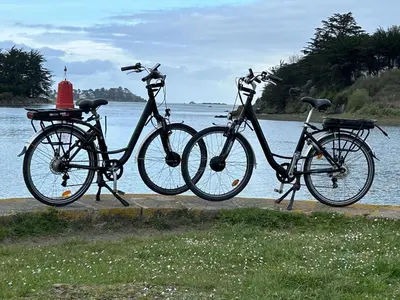 Vélo sur le terrain de l'établissement Maison de Charme avec Jardin, à 5 min de la mer ou dans les environs