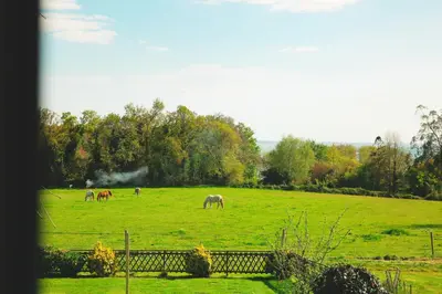 Paysage naturel près de le chalet