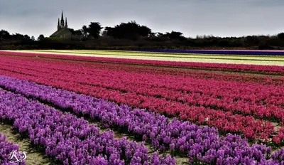 Jardin de l'établissement Ty Levenez