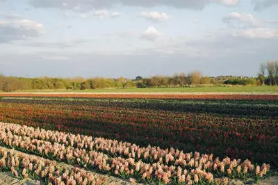 Paysage naturel près de le camping