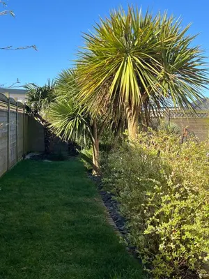 Jardin de l'établissement Maison bonheur