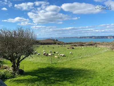 Paysage naturel près de la maison de vacances