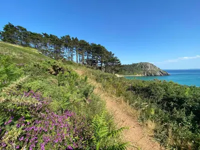 Paysage naturel près de la maison de vacances