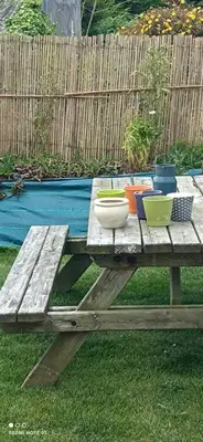 Jardin de l'établissement Maison Pays des Abers Réservation exclusive à la quinzaine du 9 au 23 août 2025