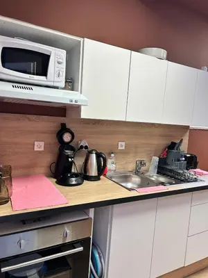 Cuisine ou kitchenette dans l'établissement Charmant appartement Havana